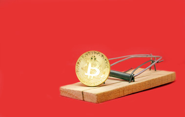 Mousetrap with gold bitcoin.