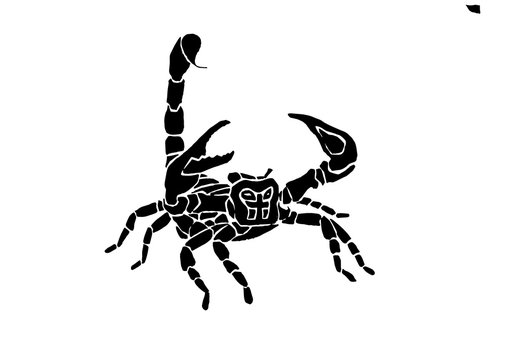 Graphical scorpion isolated on white background, vector illustration,tattoo