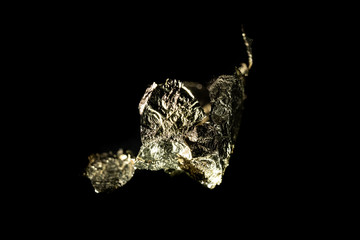 Fototapeta premium Gold Leaf on Black