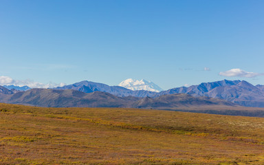 Naklejka premium Scenic Denali National Park Alaska