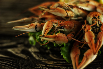 Boiled crayfish on a rough wooden background