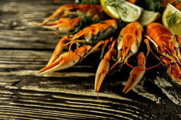 Boiled crayfish on a rough wooden background