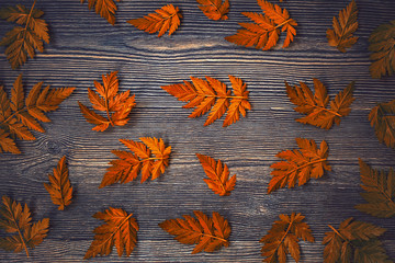 background with orange leaves. the view from the top. wood texture and autumn leaves. abstract background