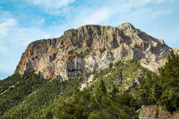 Fototapeta na wymiar Felsen auf Mallorca