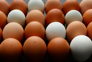 Rows of fresh eggs of various colours, shot from a 45 degree angle