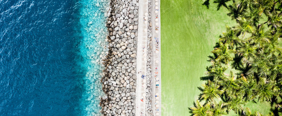 Aerial photo of green palms and sea with beach 