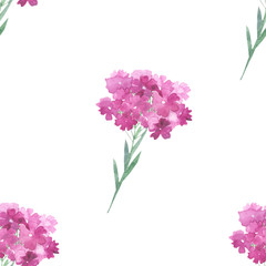 Watercolor hand painted flower pattern with pink herbs plant. Colorful spring blooming composition