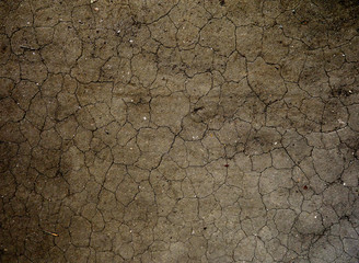 Dry cracked dirt