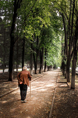 Old man with cane on the walk, Russia