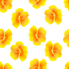 Основные RGB