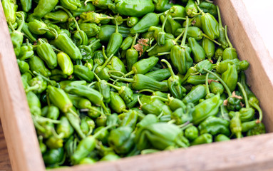 padron peppers in a basket at farmers market