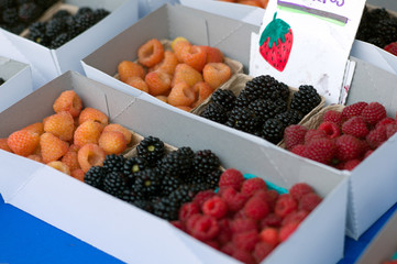 red and yellow Raspberries  and blackberries