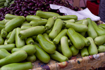 Opo squash at farmers market