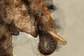 Fototapete Rund Watercolor Image Of Elephant © zobaair