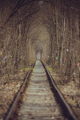 Fototapeta na wymiar Train tunnel through the forest