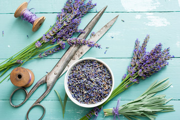 Obraz na płótnie Canvas lavender bouquet arrangement, flower cutting with old scissors on blue wooden