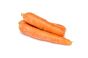 Ripe carrot fruit on a white background