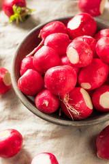 Raw Red Organic Radishes