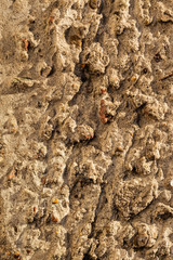 Wall of the house. Concrete coating. Cement slab.