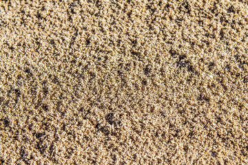 Sand on the beach as a background close-up