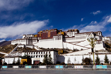 Fototapeta na wymiar budala palace in Lahsa