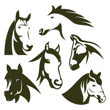 Elegance head horse Design logo Icon - Vector