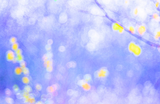 Pictorial art photo of gentle dry leaves on branch in light blue-colored effect on blurred background