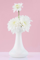 Beatiful chrysanthemums on a purple background with vase