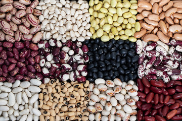 Healthy diet vegan food, sources of vegetable proteins: different types of legumes