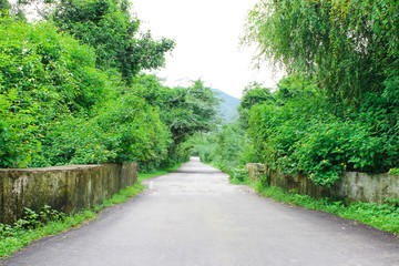 path in park
