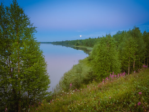 Blooming meadow on shore of lake