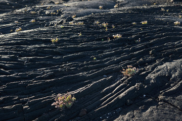 Closeup texture of dark rough rock in sunlight