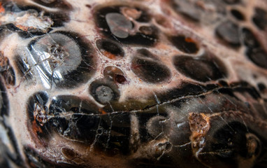 Extreme Close Up of A Gemstone Crystal