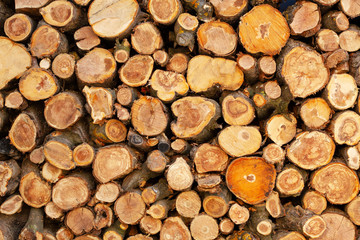 Wooden background. Firewood stack for the background. A lot of cutted logs. Stack of sawn logs. Natural wooden decor background. Pile of chopped fire wood prepared for winter.