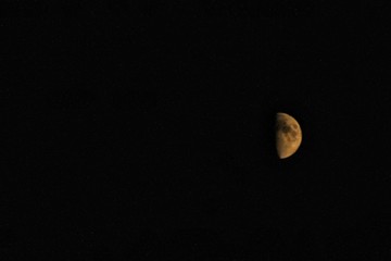 Moon