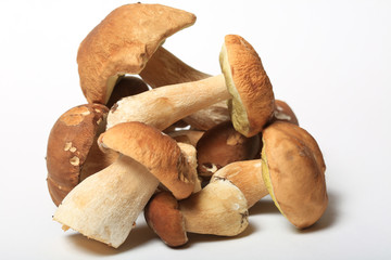 Boletus mushrooms on a white background close-up
