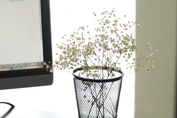 flower