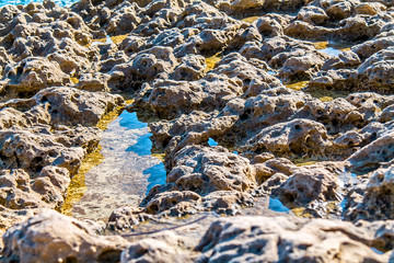 Volcanic rock washed with water as a background