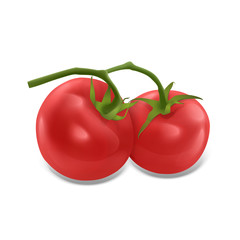 Set of ripe and red tomatoes isolated on white background, Tomato set in realistic style, vector illustration