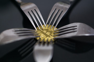 Bitcoin getting New Hard Fork Change, Physical Golden Crytocurrency Coin under forks