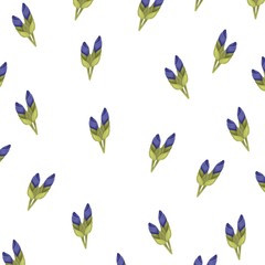 Spring background with flowers