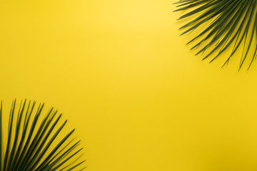 palm leaf on a yellow background. minimalilm, top view, summer concept