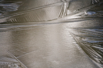 Ice in the winter. Dead water. Cold. The beginning of spring. Ice texture. Beauty of nature. Simple...