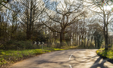 A tight right hand bend on a tree line rural road in the county of Norfolk