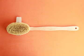 shower brush for the back