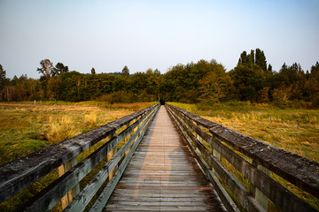 wooden walkway in wetland snactuary
