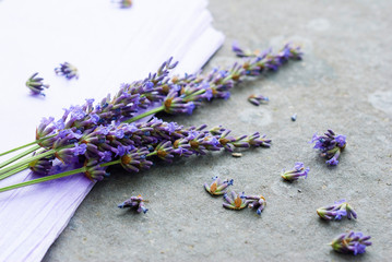 Lavender