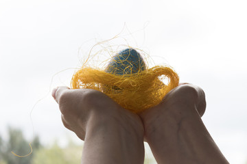 Nest with egg on hands. Nest-shaped hands to snuggle egg, protection concept or symbol.