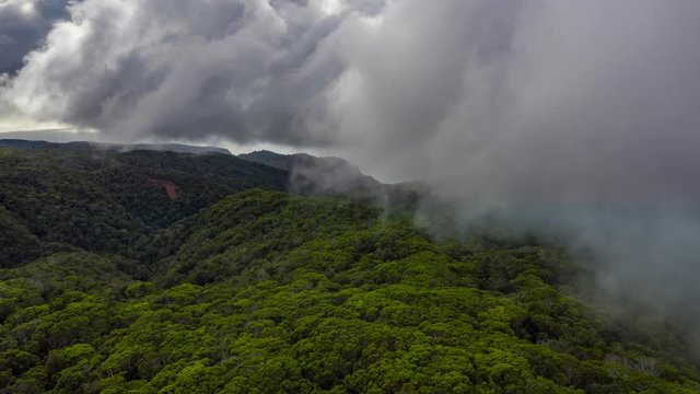 Hawaii Beaches Aerial