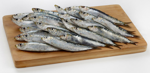 Fresh raw sardines on wooden cutting board